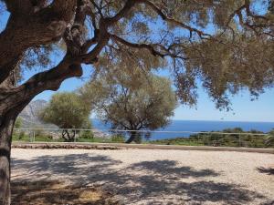 een boom in een park met de oceaan op de achtergrond bij Hotel Pranos Turismo Rurale Cala Gonone in Cala Gonone
