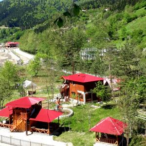a group of buildings with red roofs on a hill at Doga ile basbasa Eko yayla in Tonya