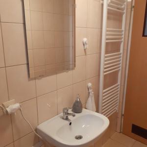 La salle de bains est pourvue d'un lavabo et d'un miroir. dans l'établissement domek dla 2 osób, à Junoszyno
