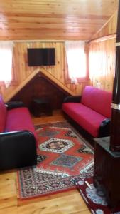 a living room with two red couches and a tv at Doga ile basbasa Eko yayla in Tonya