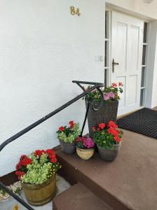three pots of flowers on a porch with a bike at DAGMARA in Łeba