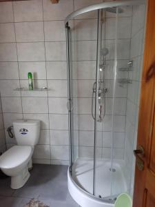 Koupelna v ubytování Domki Lazur