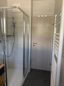 una doccia con porta in vetro in bagno di Katschi Lodge a Katschberghöhe