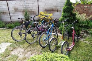 Jazda na bicykli v okolí ubytovania Půjčovna a ubytování pod Pálavou