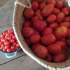 Φαγητό σε αυτό το bed & breakfast ή κάπου εκεί κοντά +73 φωτογραφίες