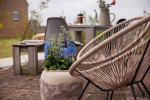 Zahrada ubytování Vakantiehuisje Ons Plekje 6 personen - Zeezand Recreatie + 22 fotografií