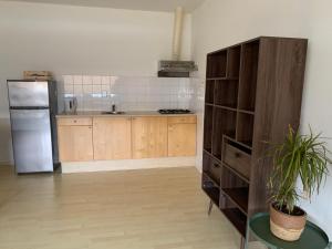 uma cozinha com um frigorífico e uma mesa com uma planta em Apartments Zaanse Schans and Amsterdam em Wormer