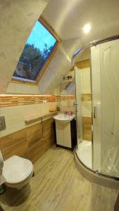 a bathroom with a shower and a toilet and a sink at Cypla Czar in Polańczyk +123 photos