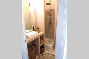 La salle de bains est pourvue d'un lavabo et d'une douche. dans l'établissement Appartement une chambre, à Rennes