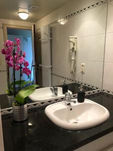 a bathroom with a sink and a mirror with pink flowers at Enjoy Durbuy 4 in Durbuy