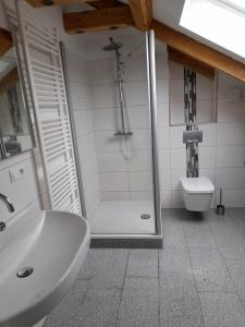 a bathroom with a shower and a sink and a toilet at Haus Lehenthaler in Stadtsteinach