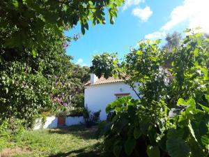 Gallery image of Quinta Algarve das Relvinhas in Monchique