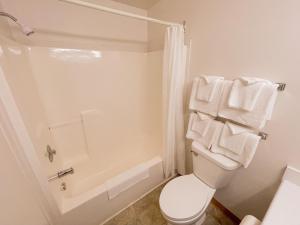 une salle de bain blanche avec toilettes et douche dans l'établissement Silverwood Motel, à Cavendish 48 autres photos