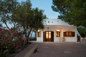 a black cat sitting in front of a house at Villas Alexandros in Kalamaki