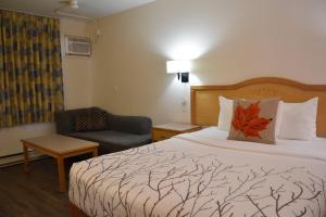 Postel nebo postele na pokoji v ubytování Canadas Best Value Inn & Suites-Castlegar + 14 fotografií