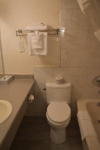 Koupelna v ubytování Canadas Best Value Inn & Suites-Castlegar