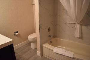 Koupelna v ubytování Canadas Best Value Inn & Suites-Castlegar