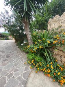 a bunch of flowers on the side of a sidewalk at Casa Giuli in Villasimius