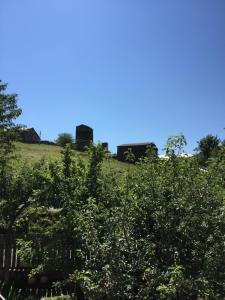 Gallery image of Guesthouse LALI GULEDANI in Tsvirmi +26 photos