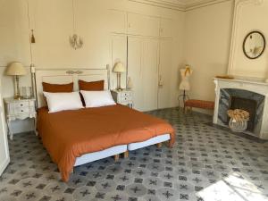 um quarto com uma cama grande e uma lareira em Monte Vinea em Montouliers