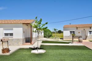 une maison avec une cour avec de l'herbe verte dans l'établissement ALAMANCHA, à Casas de los Pinos
