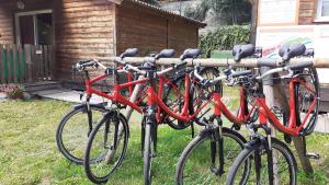 Rowery dostępne w obiekcie MUNSTER camping de la FECHT lub w pobliżu