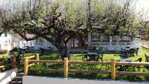 Zahrada ubytování Villa Ciardi Wellness Hotel & Ristorante