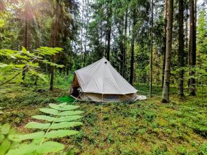 a tent in the middle of a forest at Kandle talu glämping in Selise