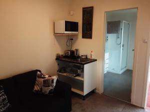 een woonkamer met een wastafel en een magnetron bij I'm a traveller in Dunedin