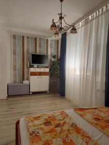 a living room with a bed and a television at Kardos Apartman in Debrecen