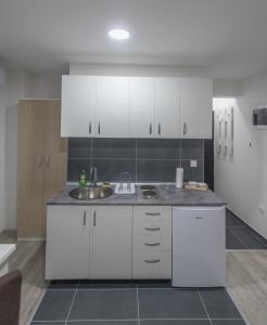 Kuchyň nebo kuchyňský kout v ubytování Apartmani Centar Loznica