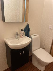 uma casa de banho com um lavatório, um WC e um espelho. em Katthagen em Skara