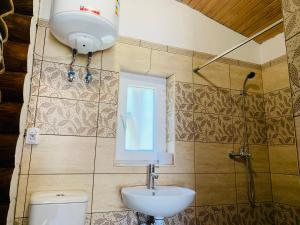 een badkamer met een wastafel, een toilet en een raam bij Chalet Vedmezhe in Polyana