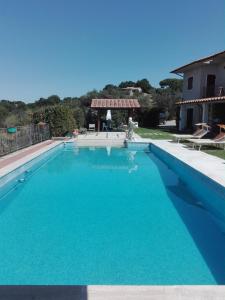 una grande piscina blu in un cortile di Camere Il Meoccio a Manciano