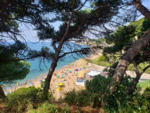 a beach with a bunch of people on the sand at Apart.3 habit.mar-mont. AC-Terraza-ascensor-parking in Calella