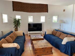 ein Wohnzimmer mit einem blauen Sofa und einem TV in der Unterkunft Villa Vivaldi 100m sea & panoramic sea view in Cala Pi