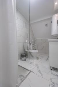Koupelna v ubytování Apartmani Centar Loznica
