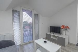 TV a/nebo společenská místnost v ubytování Apartmani Centar Loznica