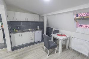 Kuchyň nebo kuchyňský kout v ubytování Apartmani Centar Loznica