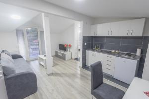 Kuchyň nebo kuchyňský kout v ubytování Apartmani Centar Loznica