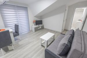 TV a/nebo společenská místnost v ubytování Apartmani Centar Loznica