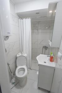 Koupelna v ubytování Apartmani Centar Loznica