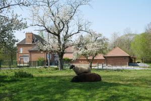 Zahrada ubytování Le Moulin Sainte Marie, chambres d'hôtes et Gîte