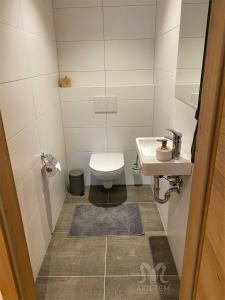 a small bathroom with a toilet and a sink at Arietem-Apartment in Gröbming