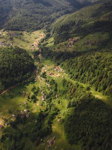 Príroda v okolí horskej chaty
