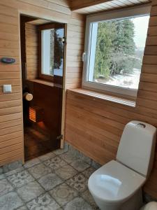 a small bathroom with a toilet and a window at Ämmamoori Maja - Mother-in-Law's House in Palmse +46 photos