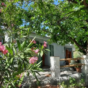 a house with a bench and some trees and flowers at Alpujarra Guesthouse, habitaciones en un cortijo sostenible y aislado en medio de la nada en parque natural Sierra Nevada a 1150 metros altitud in Cáñar