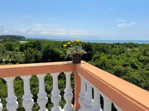 Balkon ili terasa u objektu Guest House Passiflora პასიფლორა