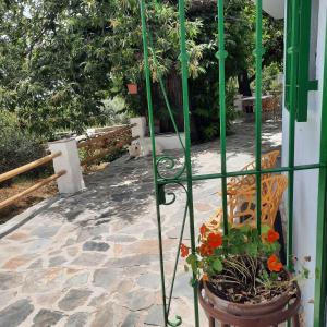 Zahrada ubytování Alpujarra Guesthouse, remote off-grid mountain accommodation