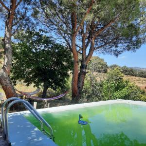 Bazén v ubytování Alpujarra Guesthouse, remote off-grid mountain accommodation nebo v jeho okolí